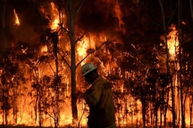 Ratusan Wisatawan Diselamatkan Saat Kebakaran Hutan Landa Pesisir Italia