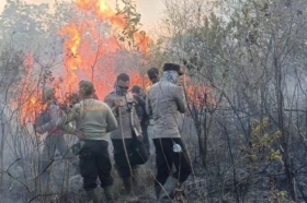 Empat Korporasi Diselidiki Terkait Karhutla di Kalimantan Barat